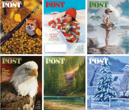 The Saturday Evening Post - Full Year 2023 Issues Collection