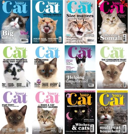 Your Cat - Full Year 2023 Issues Collection