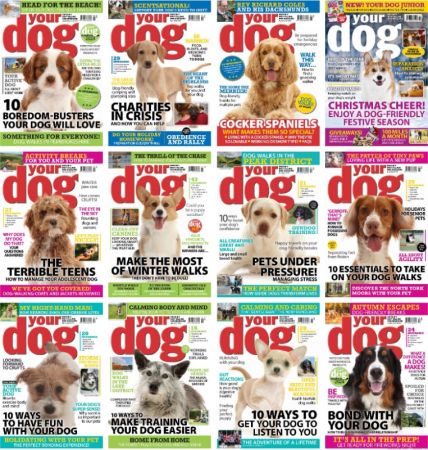 Your Dog - Full Year 2023 Issues Collection