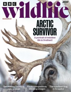 BBC Wildlife Magazine – January 2024