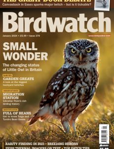 Birdwatch UK – January 2024