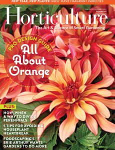 Horticulture – January-February 2024