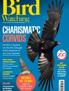 Bird Watching UK – February 2024