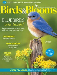 Birds & Blooms – February-March 2024