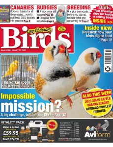 Cage & Aviary Birds – January 17, 2024