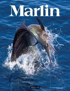 Marlin – February 2024