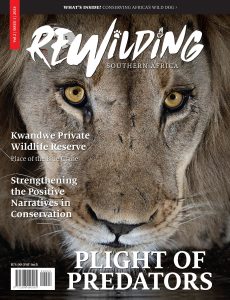 REWILDING Southern Africa – Vol 2 Issue 1, 2024