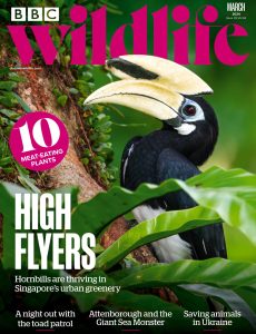 BBC Wildlife Magazine – March 2024