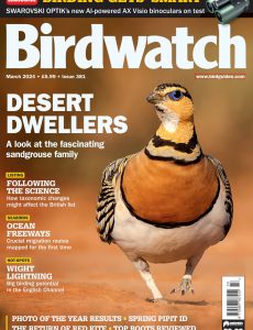 Birdwatch UK – March 2024