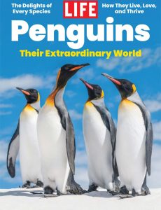 LIFE Penguins – 2024