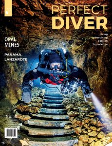 Perfect Diver – January-February 2024