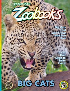 Ranger Rick Zoobooks – Big Cats 2024