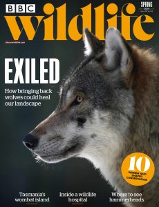 BBC Wildlife Magazine – Spring 2024