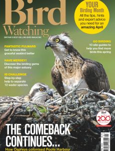 Bird Watching UK – April 2024