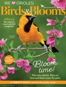 Birds & Blooms – April-May 2024