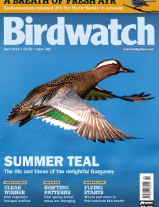 Birdwatch UK – April 2024
