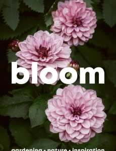 Bloom – Issue 16, 2024