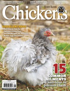 Chickens – May-June 2024