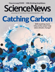 Science News – April 06, 2024