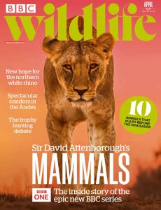 BBC Wildlife Magazine – April 2024