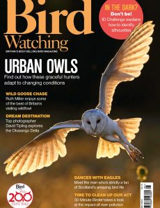 Bird Watching UK – May 2024
