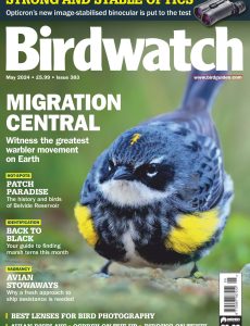 Birdwatch UK – May 2024