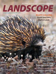LANDSCOPE Magazine – Volume 39, Number 3, 2024