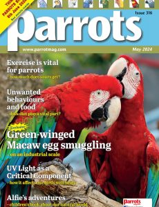 Parrots – May 2024