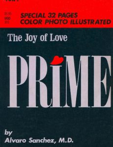 Prime – The Joy Of Love (1970s)