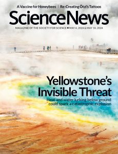 Science News – 4-18 May 2024