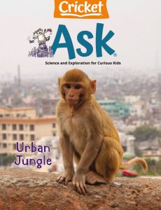 Ask Science and Arts Magazine for Kids and Children – May-J…