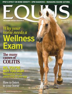 Equus – Summer 2024