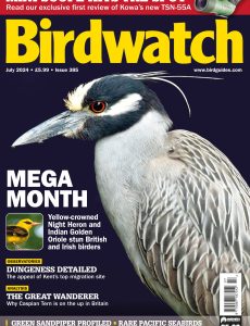 Birdwatch UK – July 2024