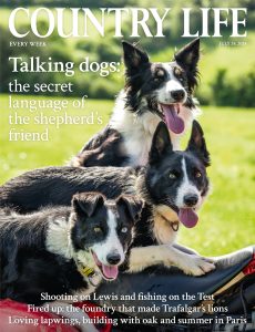Country Life UK – July 24, 2024