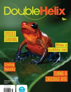 Double Helix – Issue 73 2024