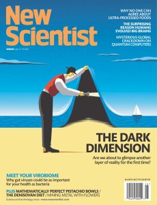 New Scientist USA – 13 July 2024