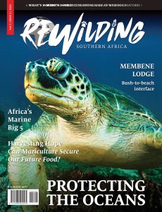 Rewilding Southern Africa – Issue 2 2024