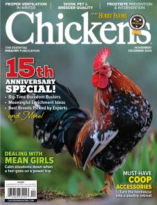 Chickens – November-December 2024