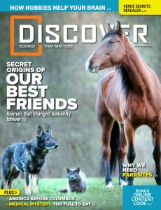 Discover – September-October 2024