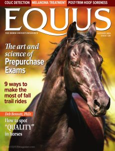 EQUUS – Fall 2024