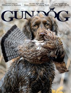 Gun Dog – October 2024