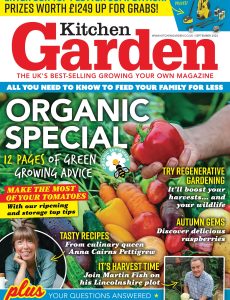 Kitchen Garden – September 2024