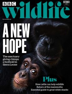 BBC Wildlife – October 2024