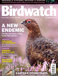 Birdwatch UK – October 2024[p]