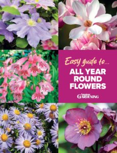 Amateur Gardening Easy Guide – Issue 1 2024