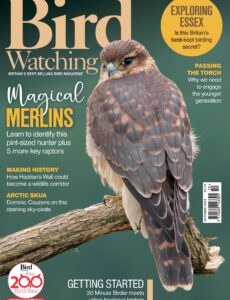 Bird Watching UK – October 2024