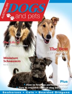 Dogs and Pets – Issue 7 2024