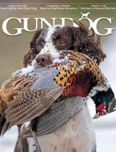 Gun Dog – November 2024