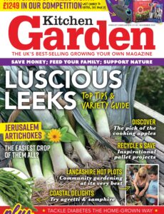 Kitchen Garden – November 2024