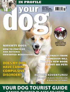 Your Dog – November 2024